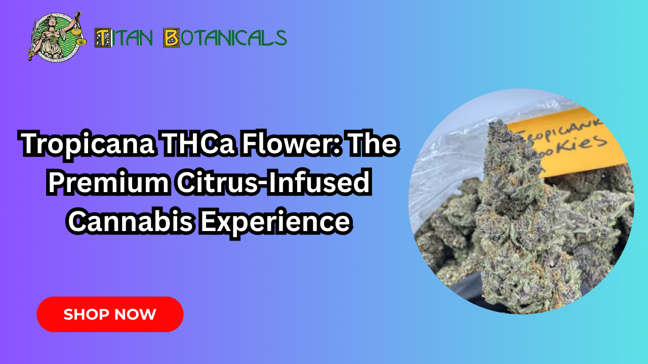 Tropicana THCa Flower: The Premium Citrus-Infused Cannabis Experience